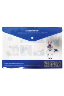 Elabscience A4 Button Folder